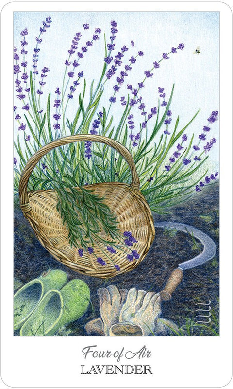 US Games Systems: Herbcrafter's Tarot kortos - HOBI.LT 🇱🇹