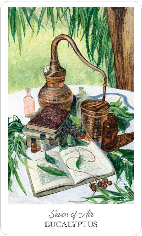 US Games Systems: Herbcrafter's Tarot kortos - HOBI.LT 🇱🇹