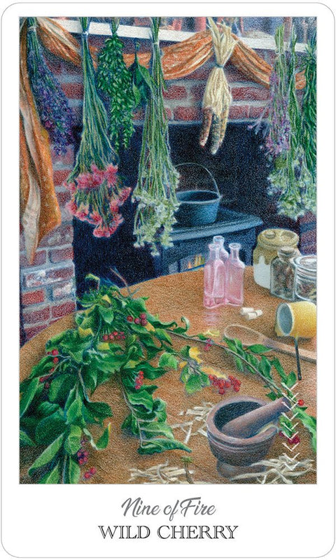 US Games Systems: Herbcrafter's Tarot kortos - HOBI.LT 🇱🇹