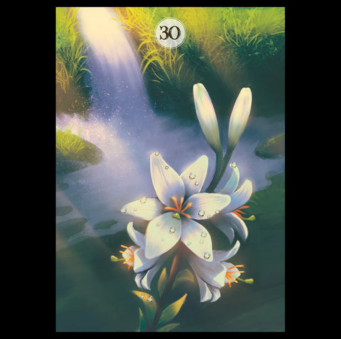 Lo Scarabeo: Herbs & Plants Lenormand oracle kortos - HOBI.LT 🇱🇹