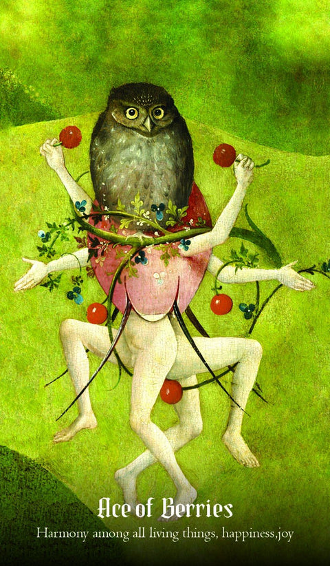 Rockpool: Hieronymus Bosch Tarot kortos - HOBI.LT 🇱🇹