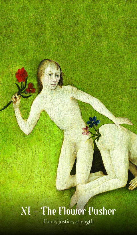 Rockpool: Hieronymus Bosch Tarot kortos - HOBI.LT 🇱🇹