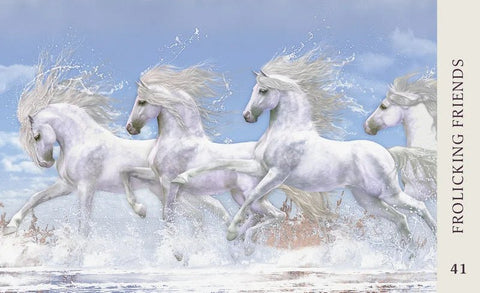 Blue Angel: Horse Wisdom Oracle kortos Blue Angel - HOBI.LT 🇱🇹
