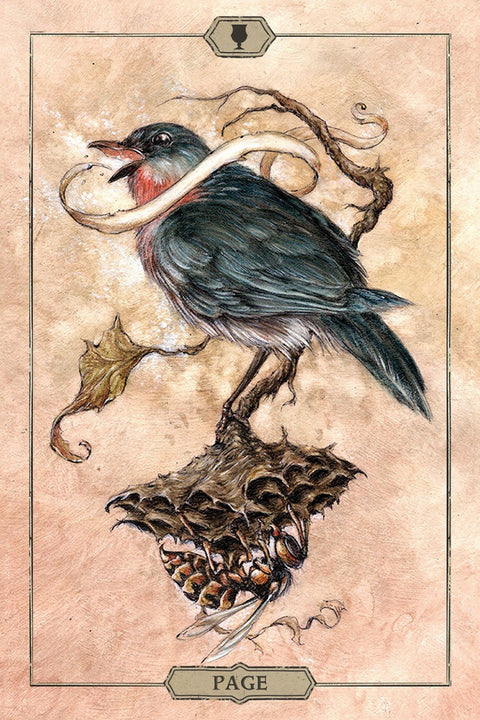 US Games Systems: Hush Tarot kortos - HOBI.LT 🇱🇹