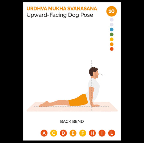 Jogos poza Upward‑Facing Dog (Urdhva Mukha Svanasana) — šoninis vaizdas su laikysenos linijomis, rodantis nugaros lenkimą ir rankų padėtį