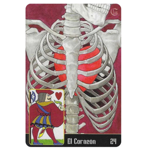 korta El Corazón su anatomine šonkaulių krūtine ir ryškiai raudonu širdies kontūru bei maža širdžių kortelės įdėkle