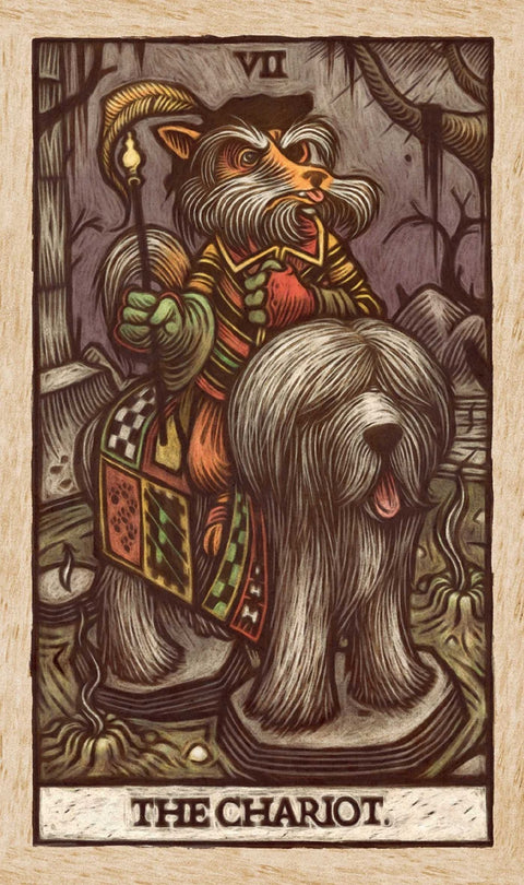 Tarot korta The Chariot medinė išraižyta korta su šviesiu rėmu, stilizuotu raiteliu-šunimi ir VII ženklu