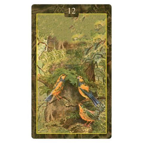 Schiffer: Lenormand Oracle Kortos - HOBI.LT 🇱🇹