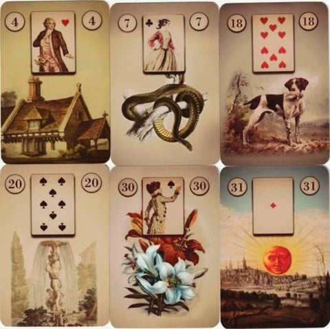 Lenormand kortos – šešių kortų iškarpa: 4 Namas, 7 Gyvatė, 18 Šuo, 20 Bokštas, 30 Lelija, 31 Saulė, detalūs iliustruoti pavyzdžiai