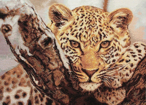 Siuvinėjimo rinkinys: artimo plano gelsvai rudų atspalvių leopardas, gulinčio ant medžio kamieno, detalus raštas ir šešėliavimas