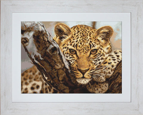 Leopardo paveikslas įrėmintas baltame mediniame rėme, šiltų rudų atspalvių artimas portretas, skirtas svetainės sienai
