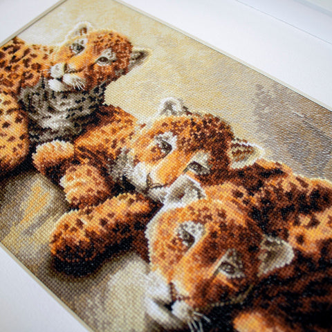 Siuvinėjimo rinkinys: artimas rudos ir oranžinės leopardų kačiukų motyvas, aiškios audinio ir kryžiukų detalės
