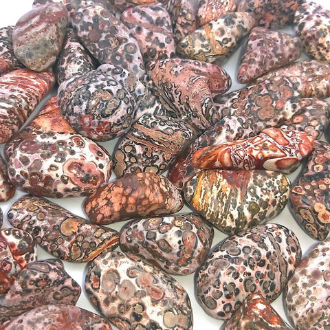 Leopardo jaspisas, poliruoti 20–30 mm rausvai‑rudi gabalėliai ant balto fono su skirtingais žieduotais raštais