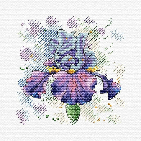 Kryželių rinkinys violetinė iris gėlė ant balto audinio, aiškus siūlių raštas ir akvarelinis fonas, 25×25 cm