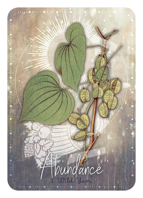 Rockpool: Magickal Herb Oracle kortos - HOBI.LT 🇱🇹