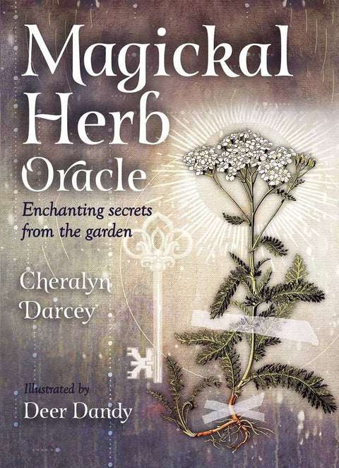 Rockpool: Magickal Herb Oracle kortos - HOBI.LT 🇱🇹