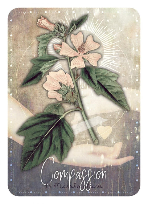 Rockpool: Magickal Herb Oracle kortos - HOBI.LT 🇱🇹