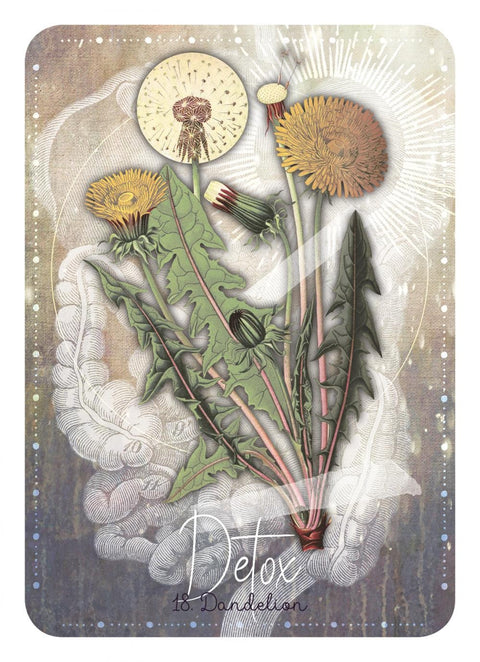 Magickal Herb Oracle kortos