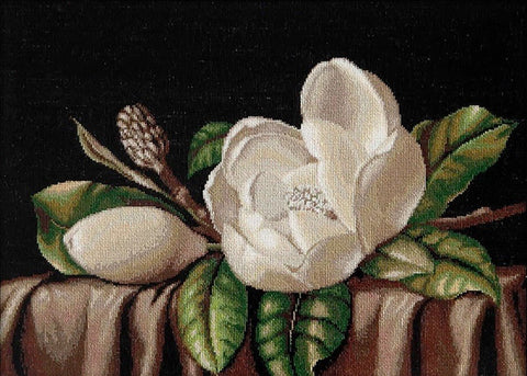 Gobelenas su balta magnolija ant juodo fono, artimas planas, matomas atviras žiedas ir pumpuras