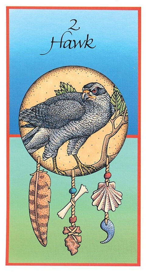 Tarot korta Hawk: spalvota iliustracija su vanagu apskritime ir kabančiais plunksnomis, kaulo bei kriauklių motyvais