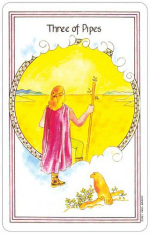 US Games Systems: Medicine Woman Tarot kortos - HOBI.LT 🇱🇹