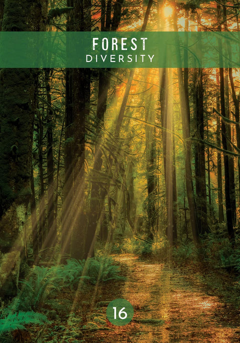 Knyga Forest Diversity – žaliu viršeliu, miško takas su aukštais medžiais ir saulės spinduliais, apačioje žalias 16 ženklelis