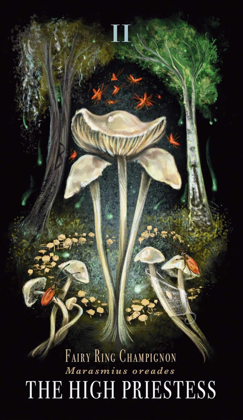 tarot korta The High Priestess — vertikalus juodas atspaudas su kreminėmis Fairy Ring grybų iliustracijomis ir oranžiniais vabzdžiais