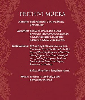 US Games Systems: Mudras for Awakening the Energy Body meditacinės kortos ir knyga - HOBI.LT 🇱🇹