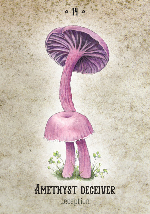 Plakatas su violetine Amethyst Deceiver grybo iliustracija, vertikalus akvarelės piešinys ant sendinto popieriaus