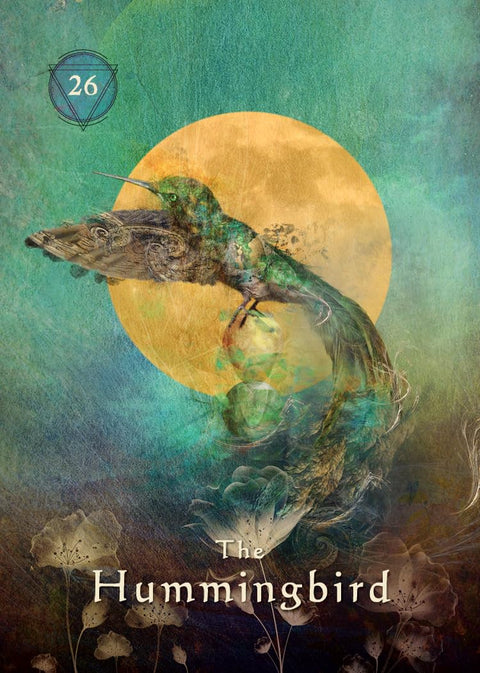 Hay House: Mystical Shaman Pocket Oracle kortos dėžutėje Hay House - HOBI.LT 🇱🇹
