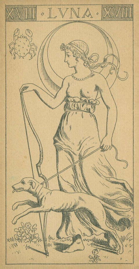 Mėnulio tarot korta, juodai baltas linijinis piešinys su moterimi, vedančia šunį prieš didelį mėnulį fone