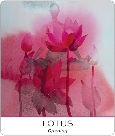 US Games Systems: Nature and Soul Yoga Wisdom kortos - HOBI.LT 🇱🇹