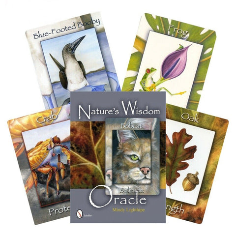 Nature's Wisdom Oracle kortų rinkinys su dėžute ir penkiomis pavyzdinėmis gyvūnų bei medžių kortomis, autorė Mindy Lighthipe