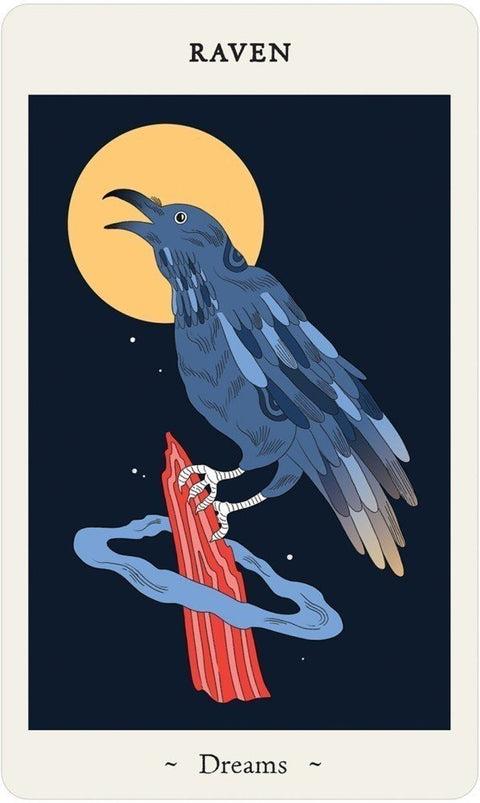 US Games Systems: Oracle Of Novice Witches kortos - HOBI.LT 🇱🇹