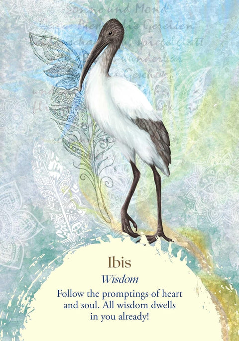 Ibis korta su balta‑ruda ibio iliustracija ant akvarelinio mėtinio fono, ornamentais ir įkvėpiančiu Wisdom užrašu