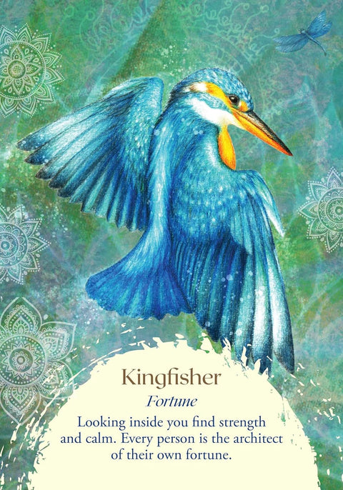 Kingfisher korta su ryškiai mėlyna žuvėdra iliustracijoje, mandalų akcentais ir Fortune tekstu apačioje