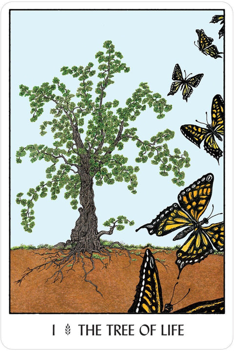 US Games Systems: Oracle Of The Trees kortos - HOBI.LT 🇱🇹