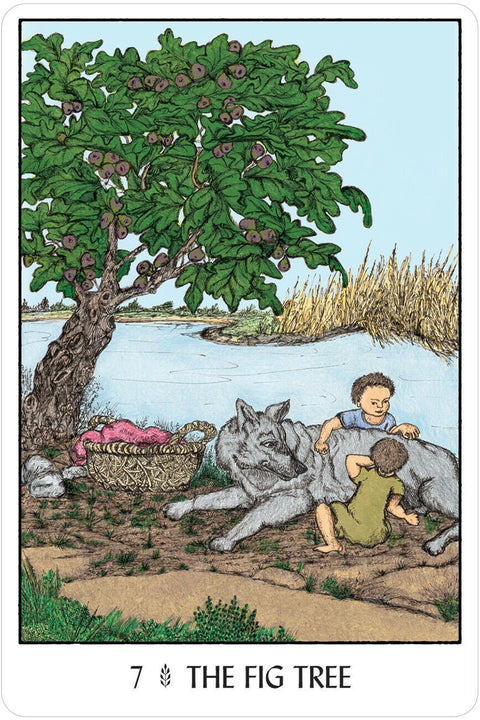 US Games Systems: Oracle Of The Trees kortos - HOBI.LT 🇱🇹