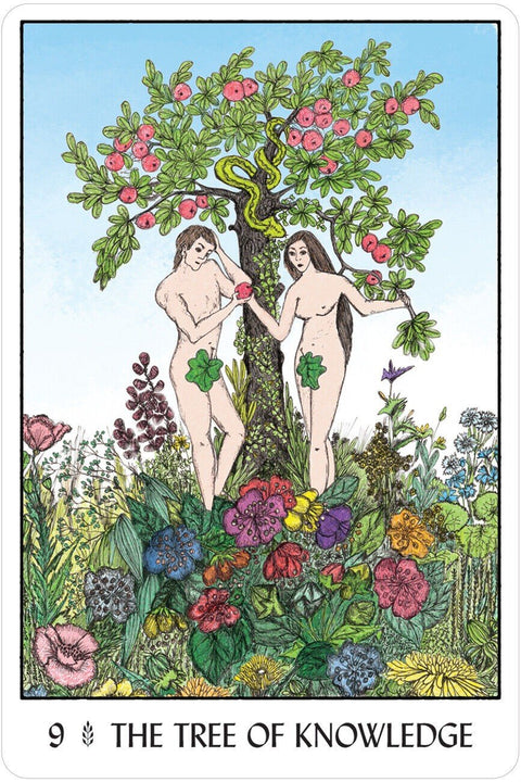 US Games Systems: Oracle Of The Trees kortos - HOBI.LT 🇱🇹