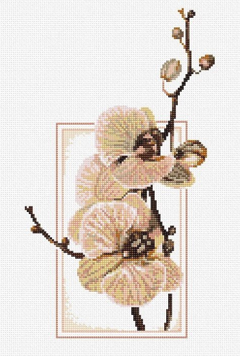 Siuvinėjimo raštas orchidėjai: švelnios rožinės ir smėlio atspalvių orchidėjos šaka vertikaliame rėmelyje