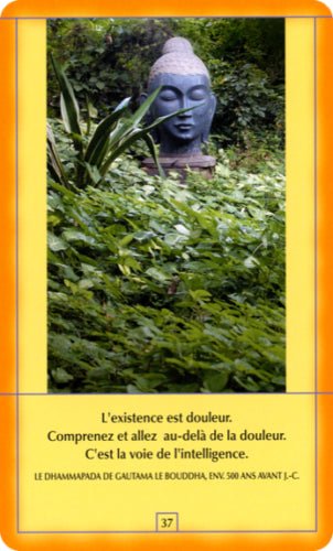 AGM: Osho Decouvrez Bouddha French Edition kortos - HOBI.LT 🇱🇹