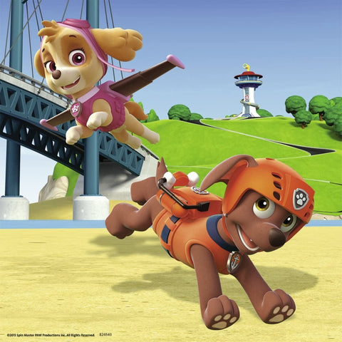 PAW Patrol plakatas su Skye ir Zuma skriejančiais gelbėjimo pozomis, ryškūs rožiniai ir oranžiniai atspalviai