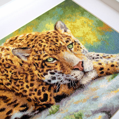 Kryželių rinkinys leopardas, artimas kampinis kadras, parodo auksinius atspalvius, žalių akių detales ir siūlų tekstūrą