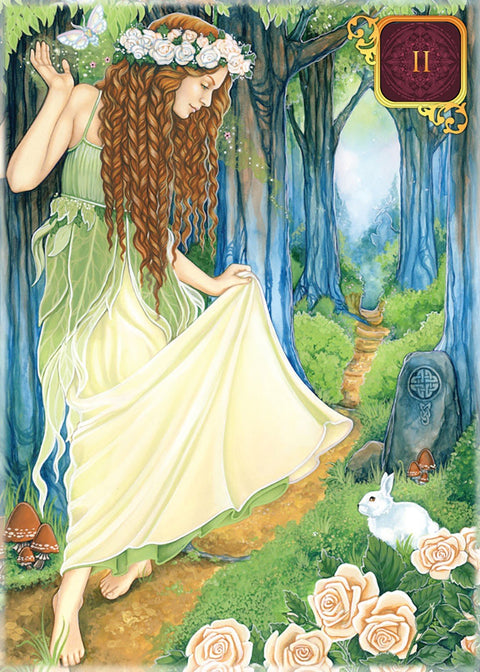 Blue Angel: Pocket Dreams Of Gaia Tarot Kortos - HOBI.LT 🇱🇹