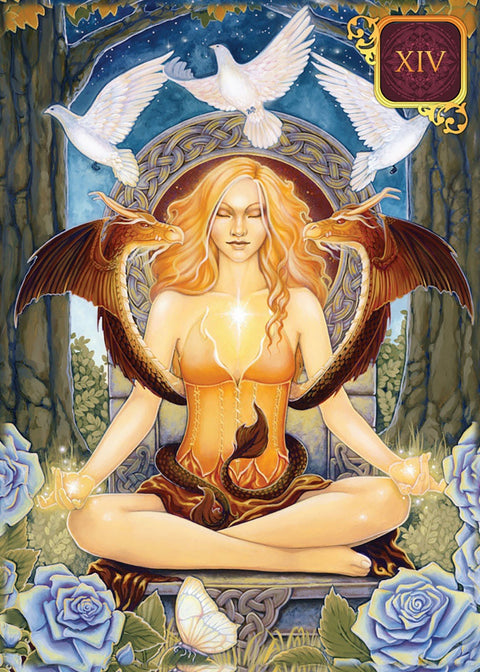 Blue Angel: Pocket Dreams Of Gaia Tarot Kortos - HOBI.LT 🇱🇹