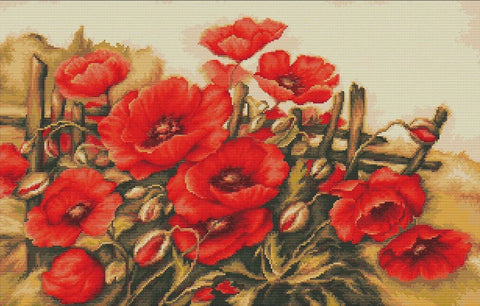 kryželių rinkinys: raudonų aguonų kompozicija 40×60 cm, artimas priartinimas, matoma siūlų tekstūra ir spalvų niuansai
