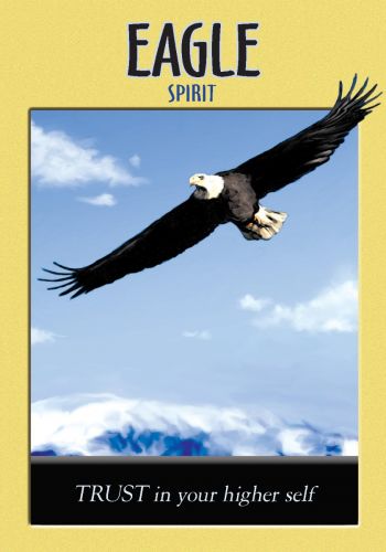 Motyvacinis plakatas "Eagle Spirit" geltonu rėmu, baltagalvis erelis skrieja virš kalnų, idealiai tinka biurui ar namams
