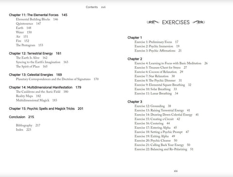 Knyga, atidarytas turinio sąrašas su skyriais ir pratimais, aiškiai rodantis temas ir jų puslapių numerius