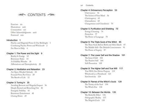 Knygos turinys: dviejų puslapių skyrių ir poskyrių sąrašas su puslapių numeriais, aiškiai rodantis knygos struktūrą pirkėjui