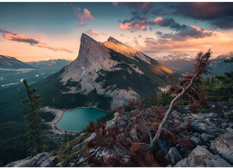 Ravensburger: Puzzle 1000 Nature Edition No 16 - RAVENSBURGER dėlionė - HOBI.LT 🇱🇹